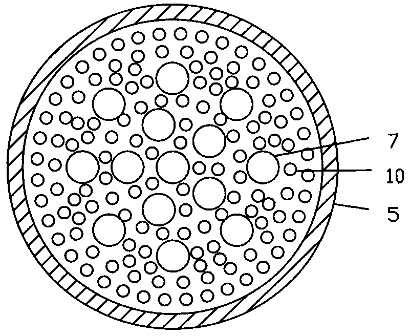 Biological column leaching device