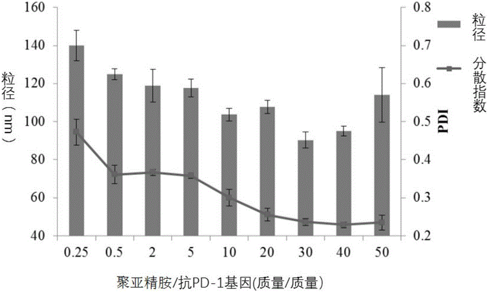 Compound containing anti-PD (Program Death)-1 gene and poly-spermidine and application of compound to treatment of tumors