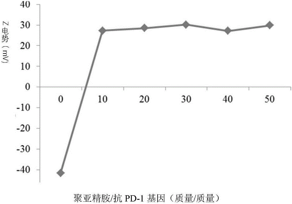 Compound containing anti-PD (Program Death)-1 gene and poly-spermidine and application of compound to treatment of tumors