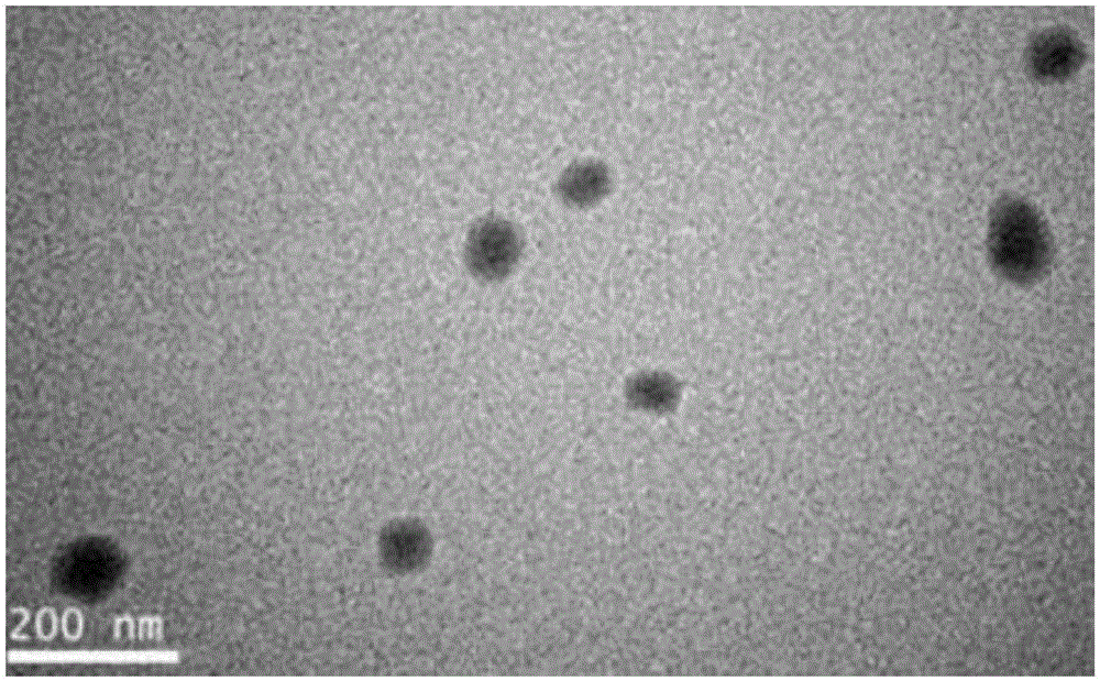 Compound containing anti-PD (Program Death)-1 gene and poly-spermidine and application of compound to treatment of tumors