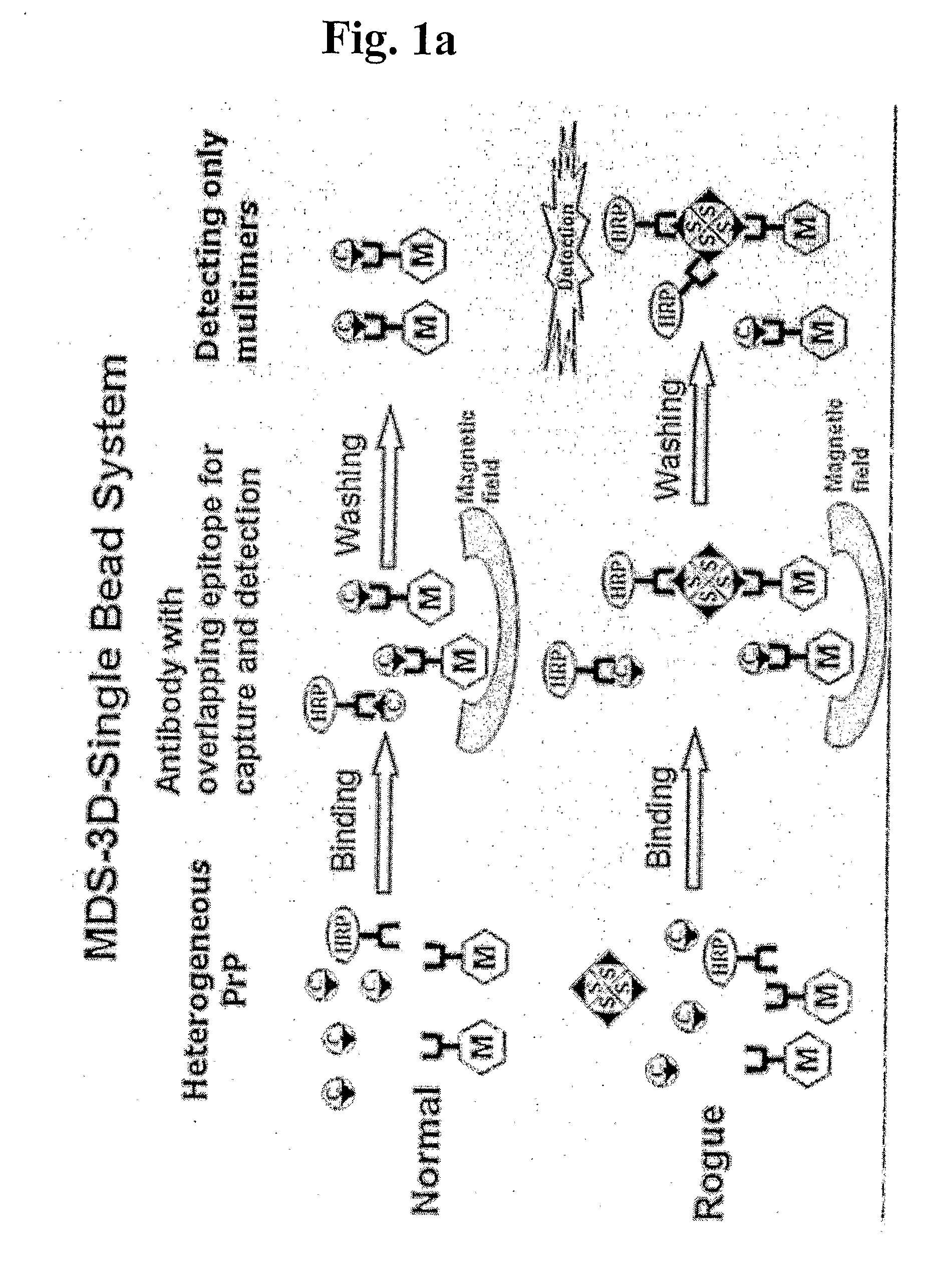 Methods for differentially detecting a multimeric form from a monomeric form of a multimer-forming polypeptide through three-dimensional interactions