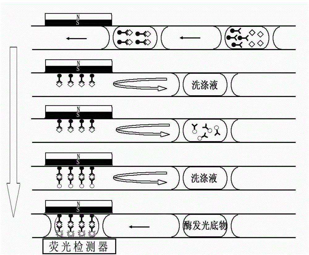 Chemiluminescence immunoassay system, as well as method and application thereof