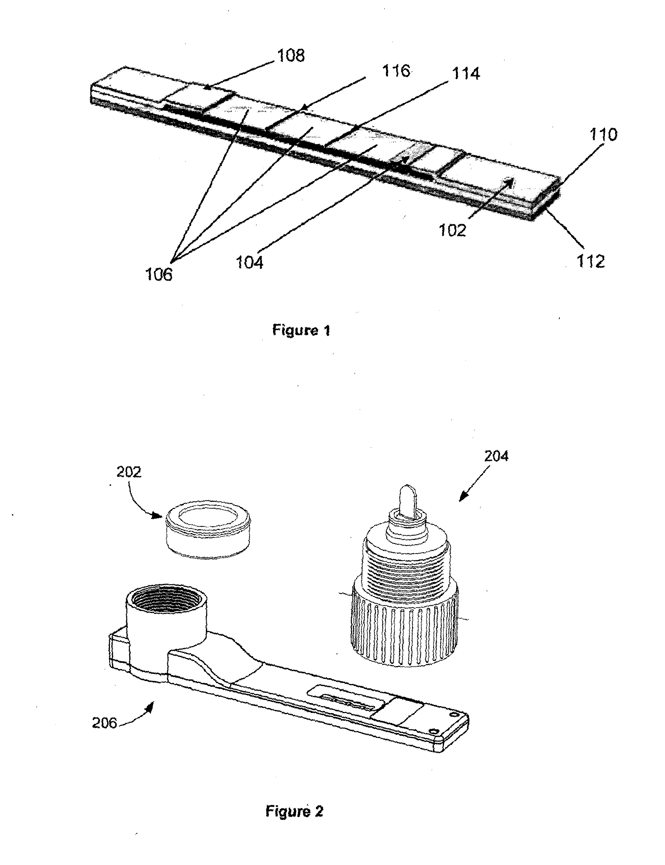 Nucleic acid amplification and detection kit