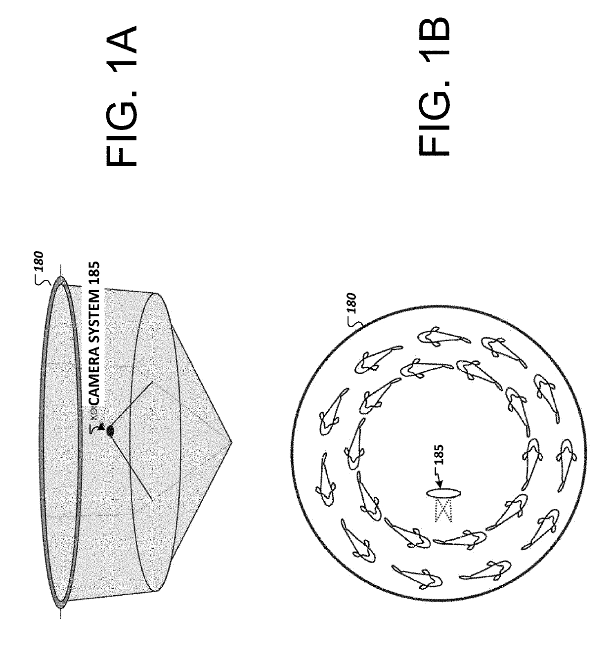 Fish biomass, shape, and size determination