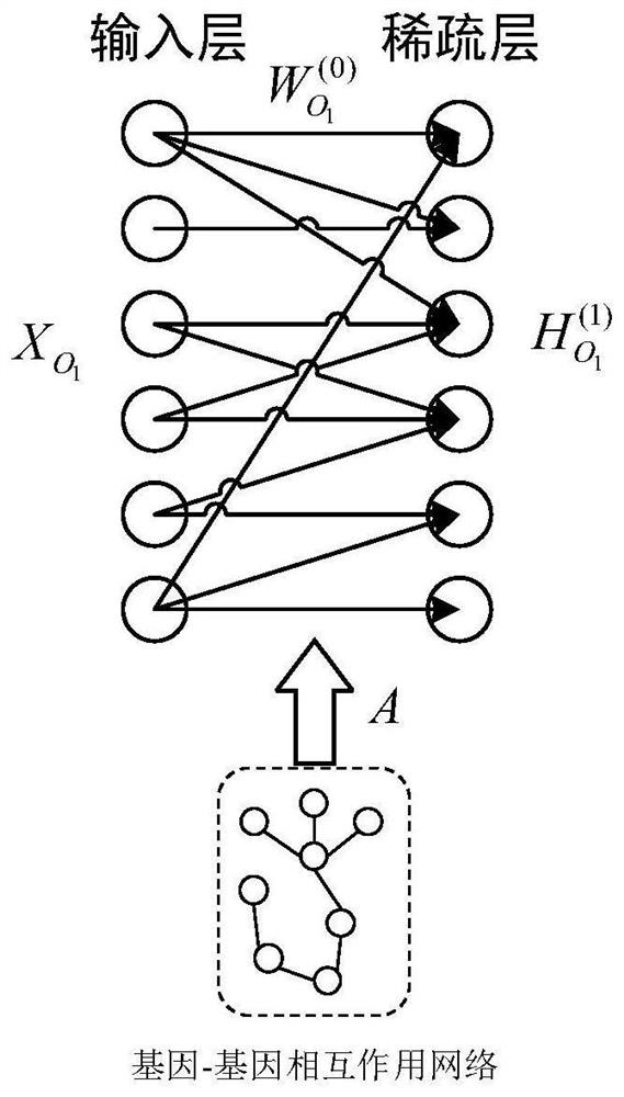 Cancer survival analysis system based on multiple tasks and multiple modes