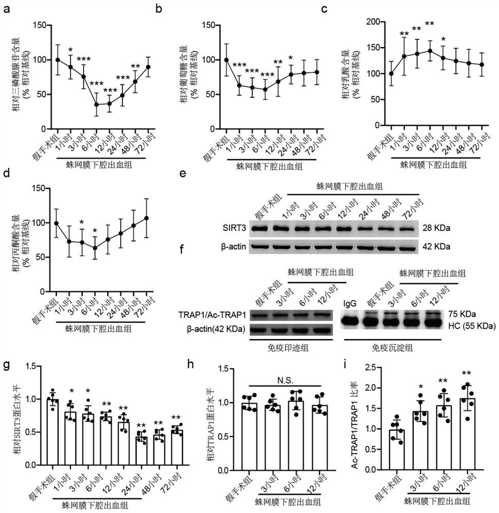 Application of berberine hydrochloride in improving early brain injury after subarachnoid hemorrhage