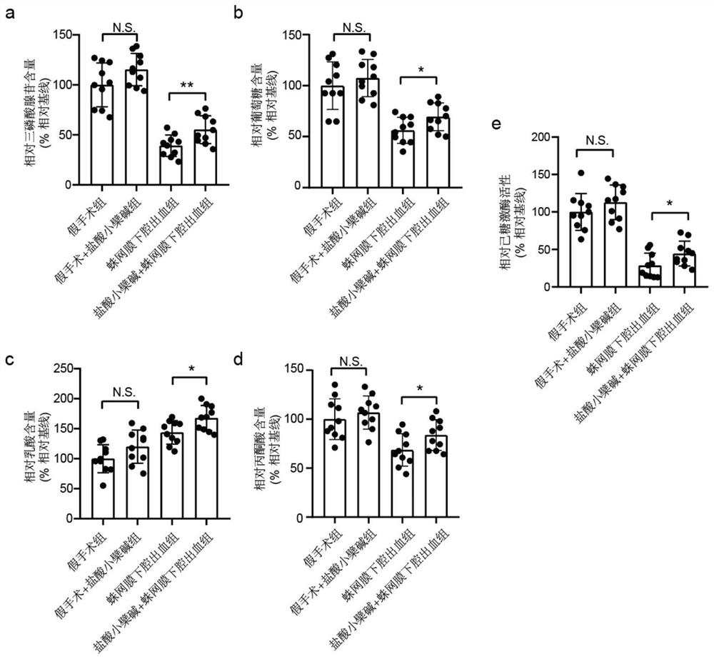 Application of berberine hydrochloride in improving early brain injury after subarachnoid hemorrhage