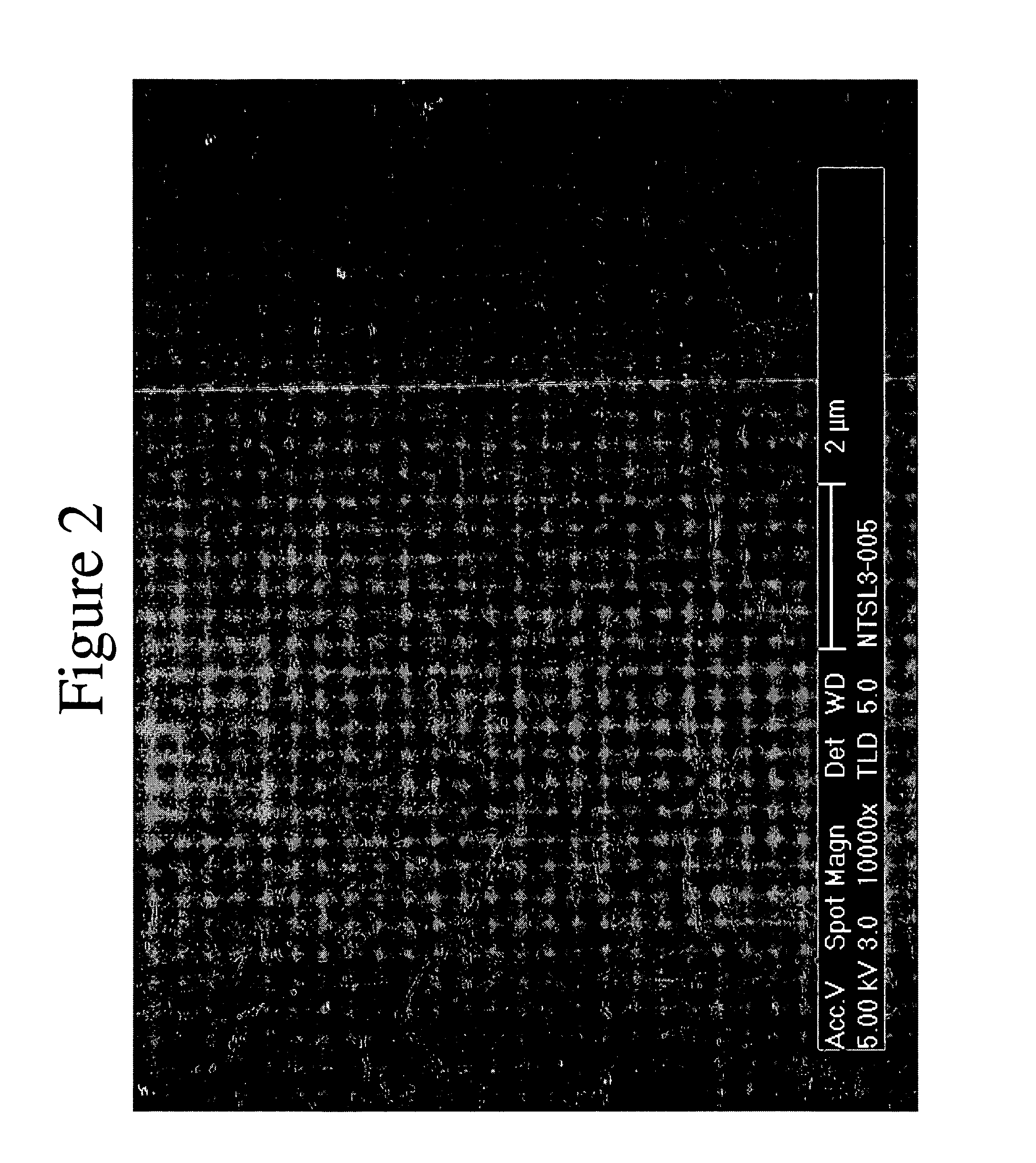 High purity nanotube fabrics and films