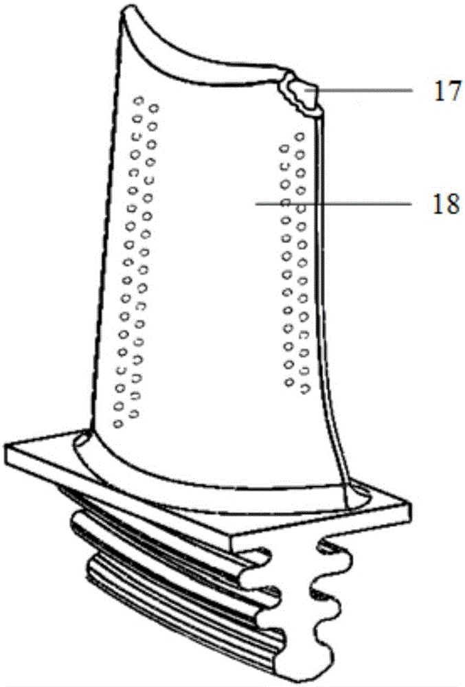 Hollow turbine blade ceramic core removal device based on heat convection principle