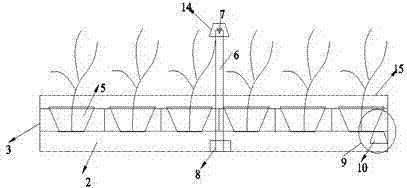 Photosensitive adjusting submerged plant bed manufacturing method