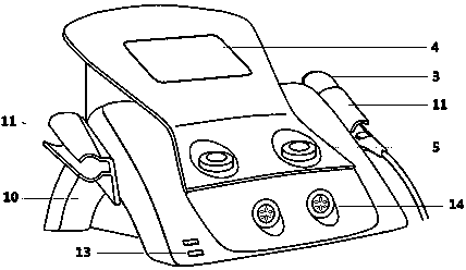 Ultrasonic apparatus for preventing osteolysis from appearing around prosthesis after joint replacement