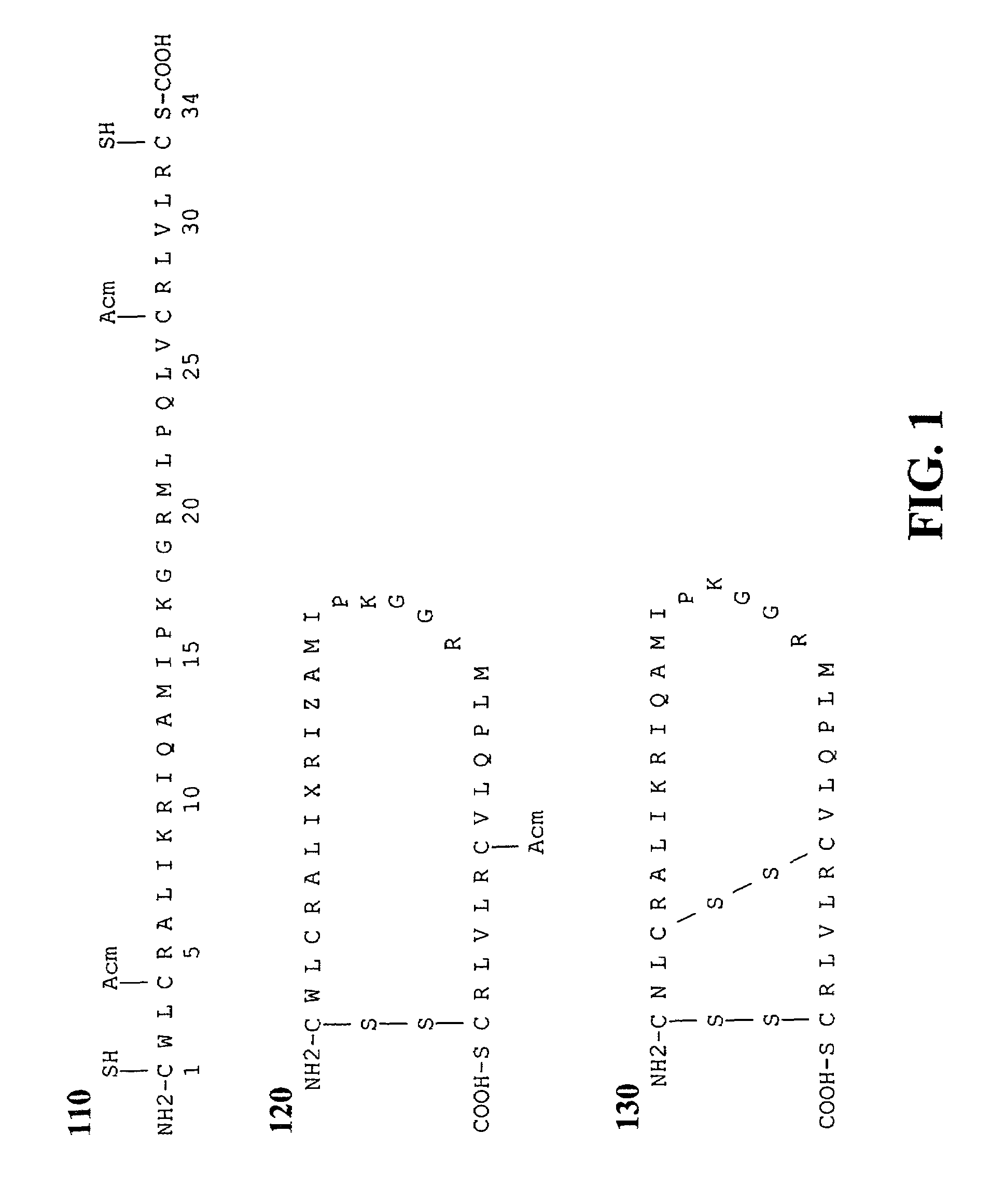 Exogenous surfactant protein B mimic