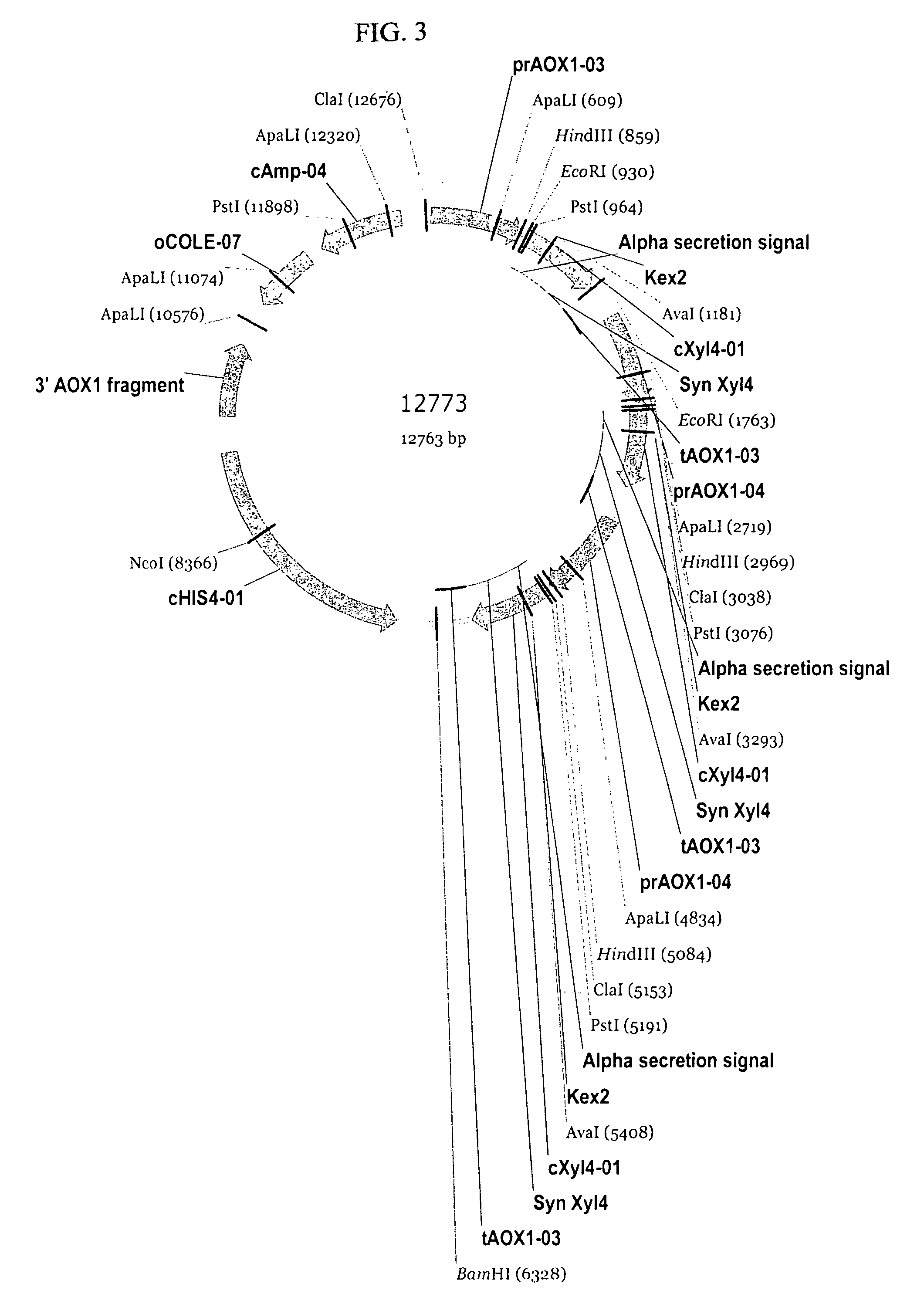 Microbially expressed xylanases and their use as feed additives and other uses