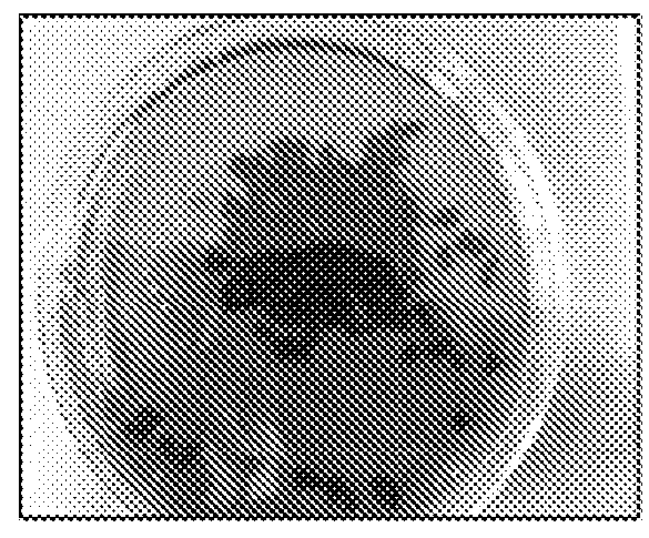 Biomimetic polymer for stabilizing wellbore and method for preparation of the same and drilling fluid