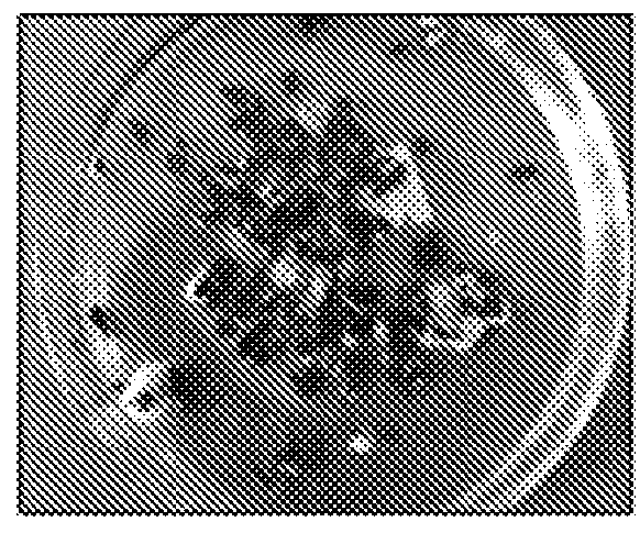 Biomimetic polymer for stabilizing wellbore and method for preparation of the same and drilling fluid