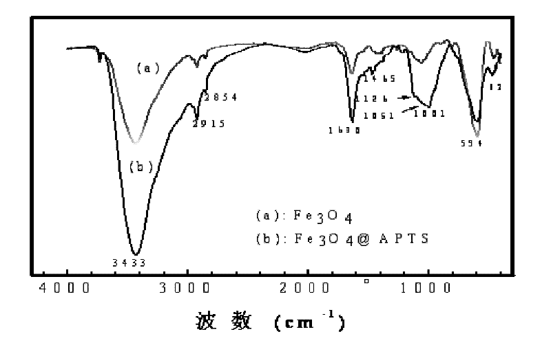 Preparation method of APTS (aminopropyltriethoxysilane)-modified iron oxide magnetic nanoparticles