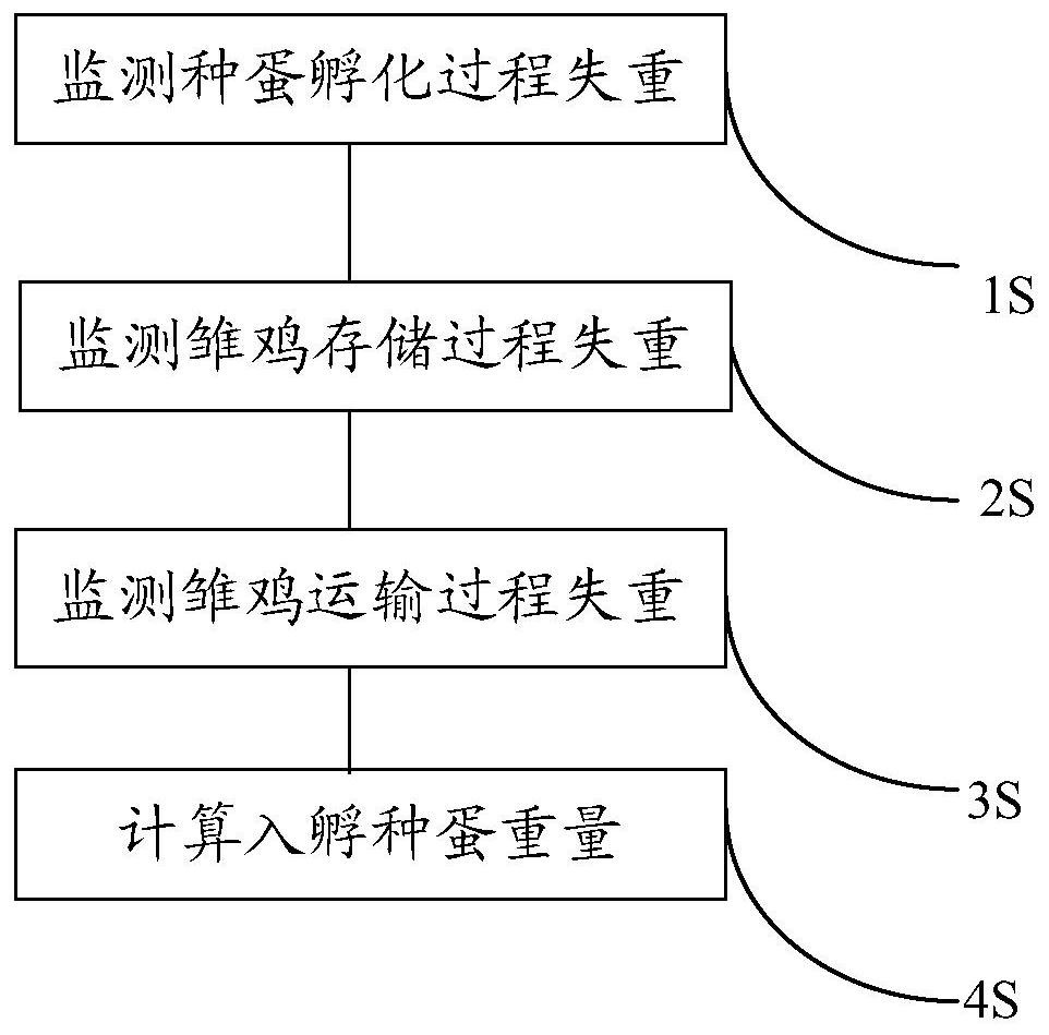 A method for determining the weight of hatching eggs