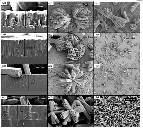 Preparation method of novel zinc oxide material