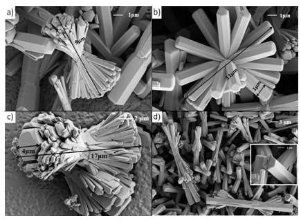 Preparation method of novel zinc oxide material