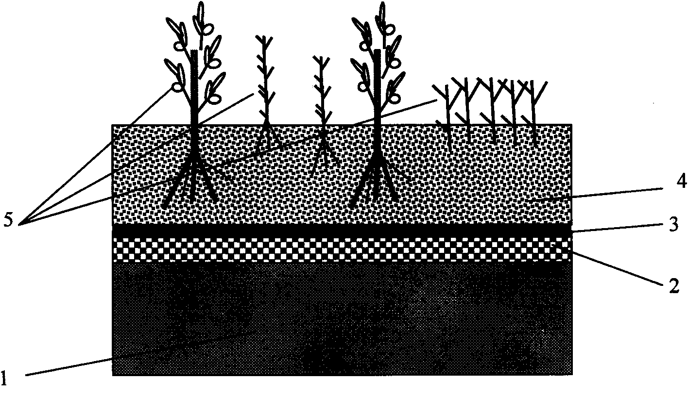 Method for treating farmland soil polluted by cadmium