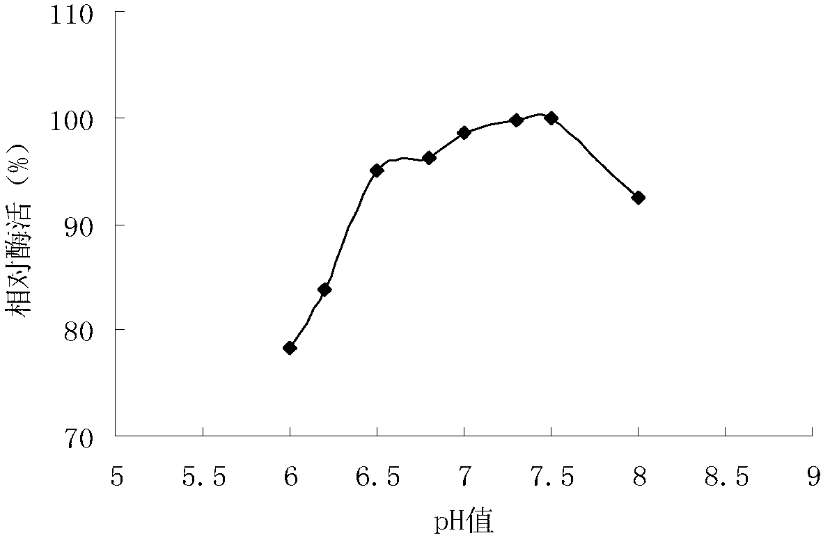 Aspergillus oryzae bacterial strain giving high yield of neutral protease and liquid fermentation method thereof