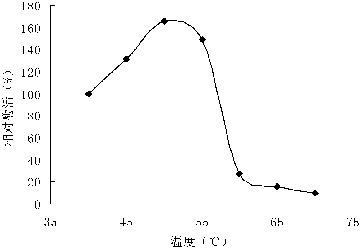 Aspergillus oryzae bacterial strain giving high yield of neutral protease and liquid fermentation method thereof