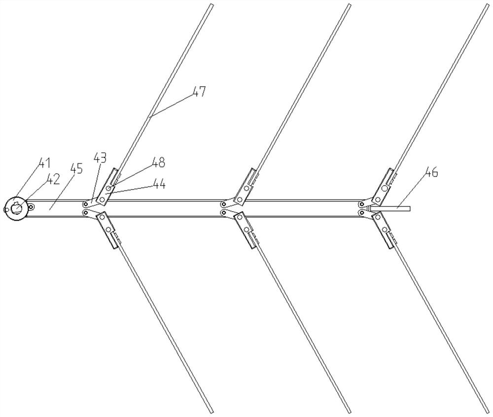 Automatic nut patting and harvesting device