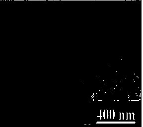 Metal ion / starch aggregate and preparation method thereof