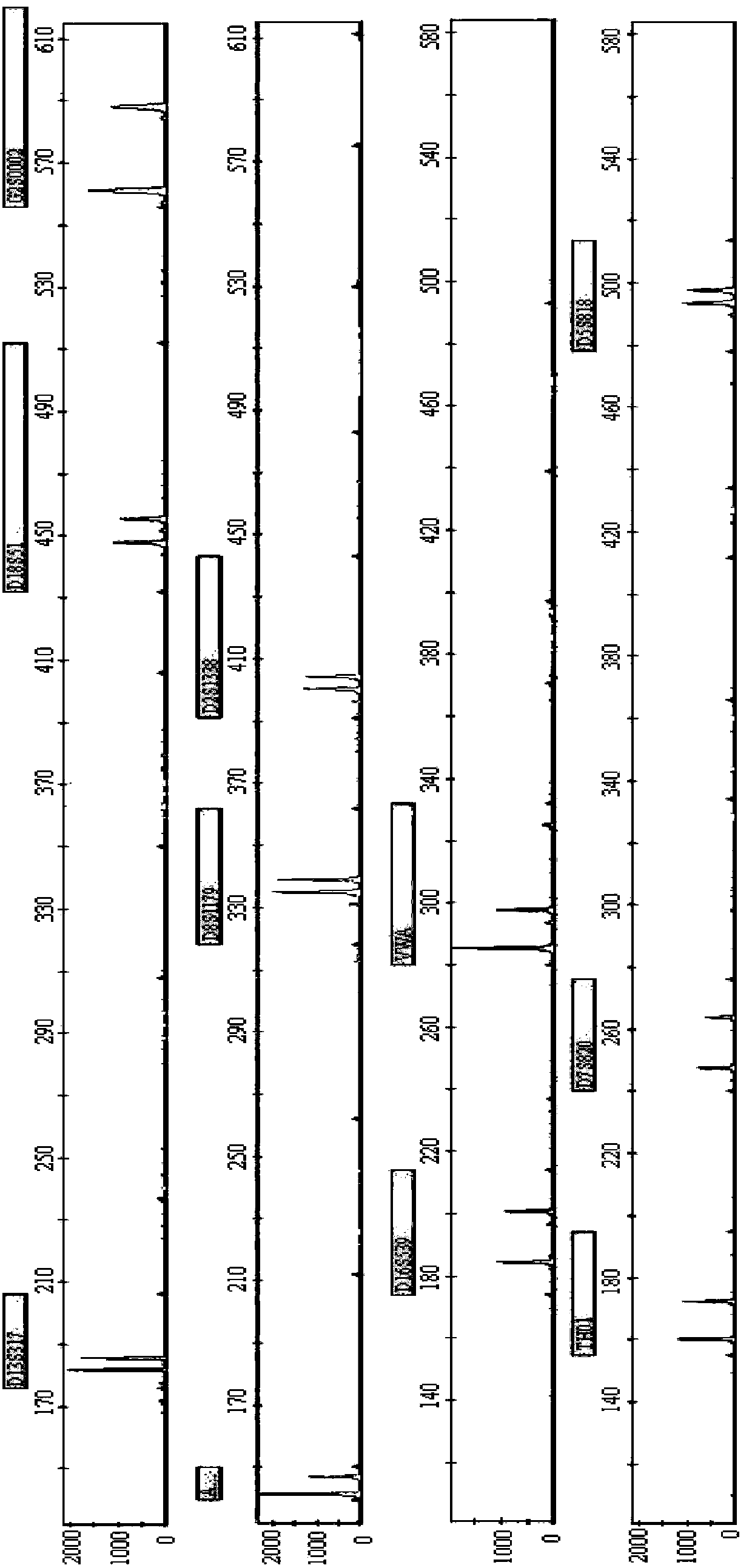 New short nucleotide tandem repeat sequence locus and application thereof