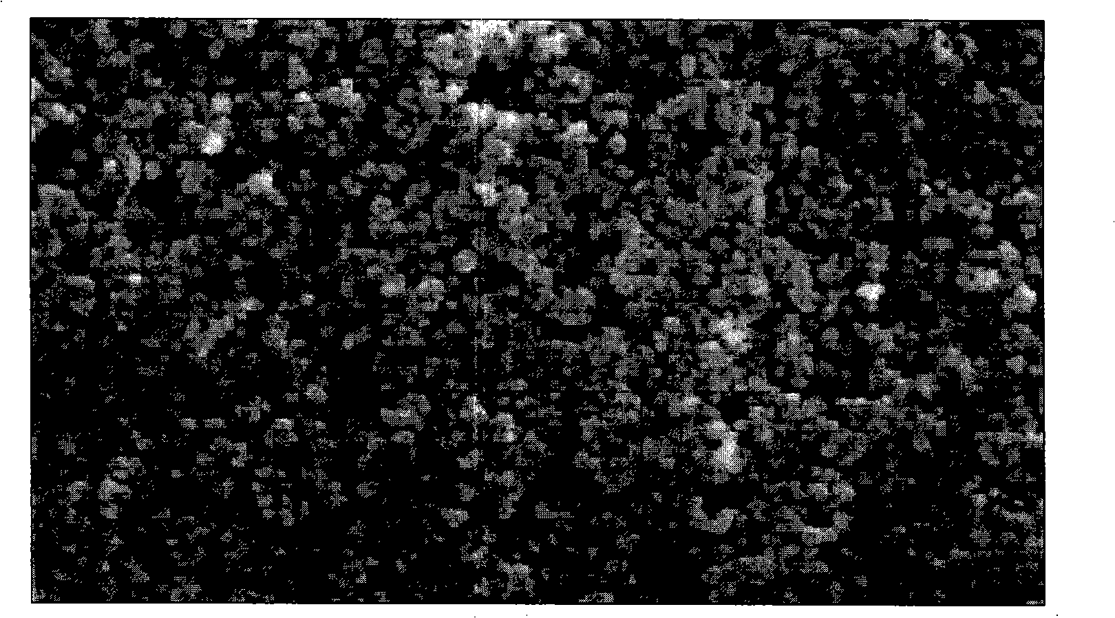 Process for preparing nm-class silver powder