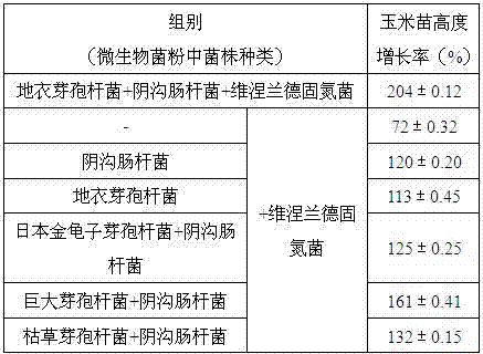 A kind of bioactive organic fertilizer special for corn and its application