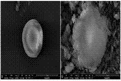 Preparation method of modified inorganic micro-nanoparticle reinforced polyether ketone ketone (PEKK) composite material