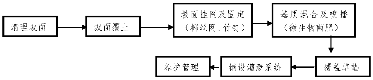 Full-ecological slope spraying and sowing structure and construction method