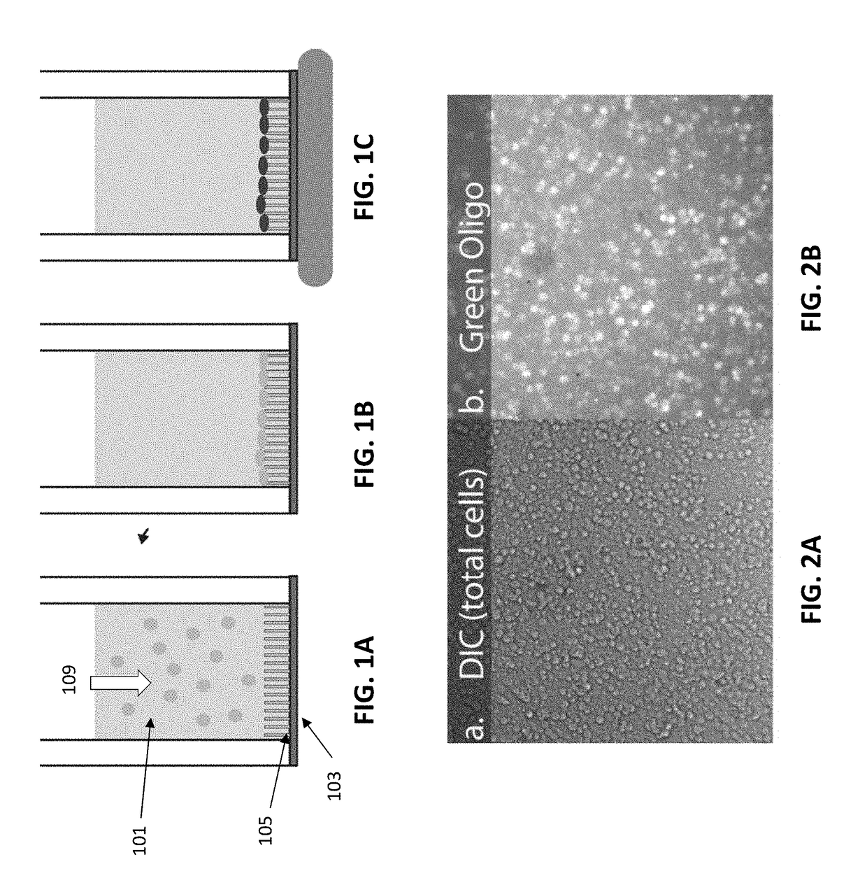 Apparatuses and methods using nanostraws to deliver biologically relevant cargo into non-adherent cells