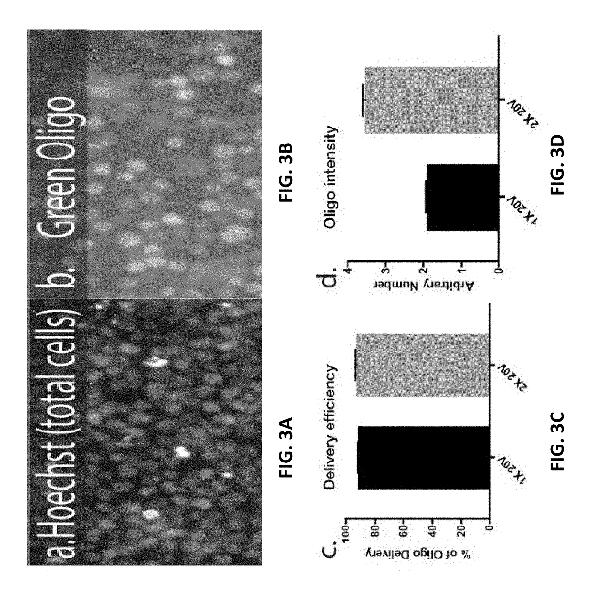 Apparatuses and methods using nanostraws to deliver biologically relevant cargo into non-adherent cells