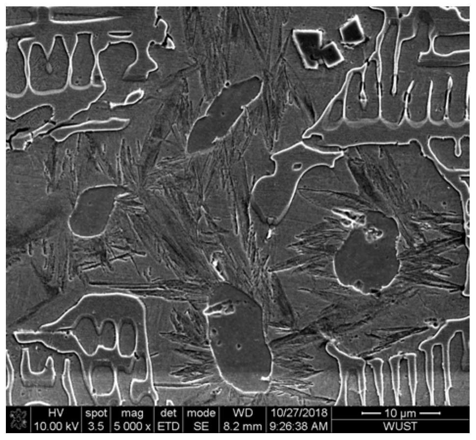 A kind of high-hardness high-boron wear-resistant cast steel and its preparation method