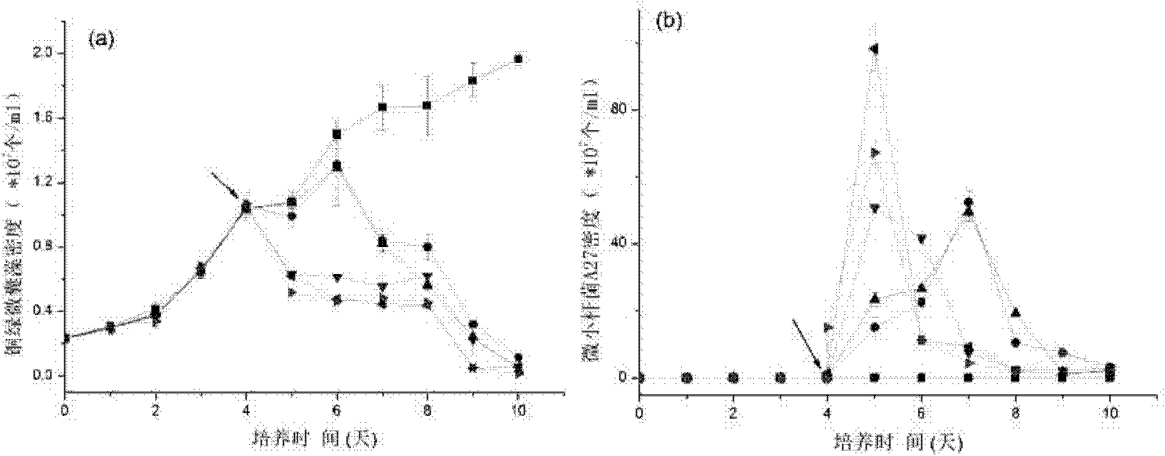 Exiguobacterium sp. with alga-lysing activity and application thereof in cyanobacterial bloom control