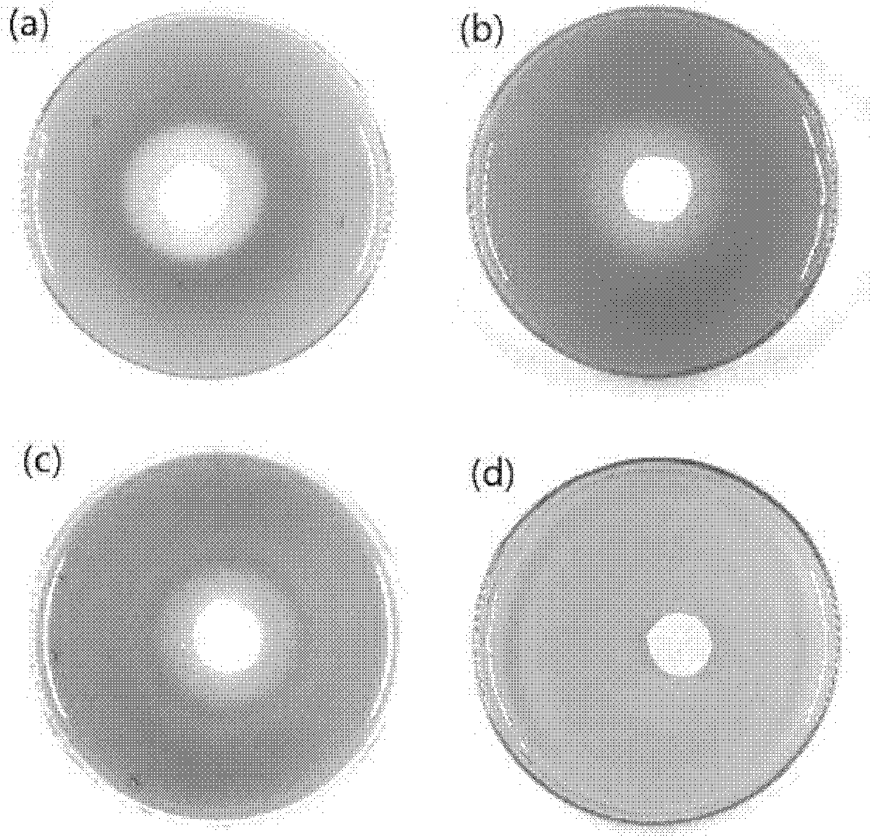 Exiguobacterium sp. with alga-lysing activity and application thereof in cyanobacterial bloom control