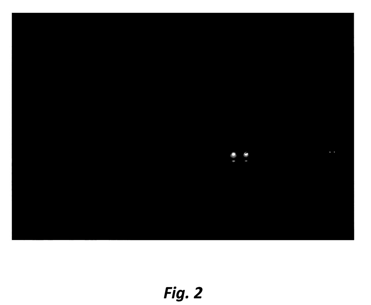 Glare suppression through fog by optical phase conjugation assisted active cancellation