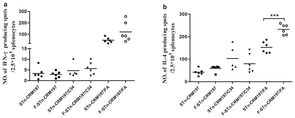 Glycoconjugate containing stn or f-stn and its preparation method and application in antitumor vaccine