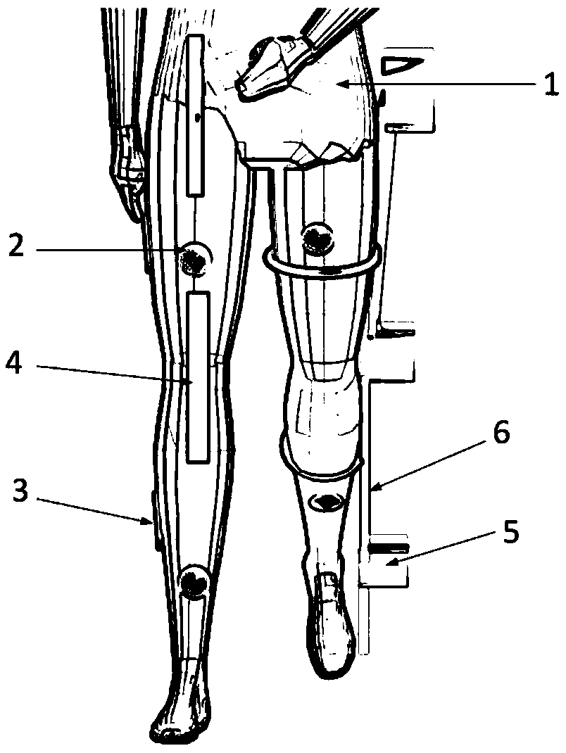 Initiative lower limb training system for synergy of healthy side and injured side and operation method of system