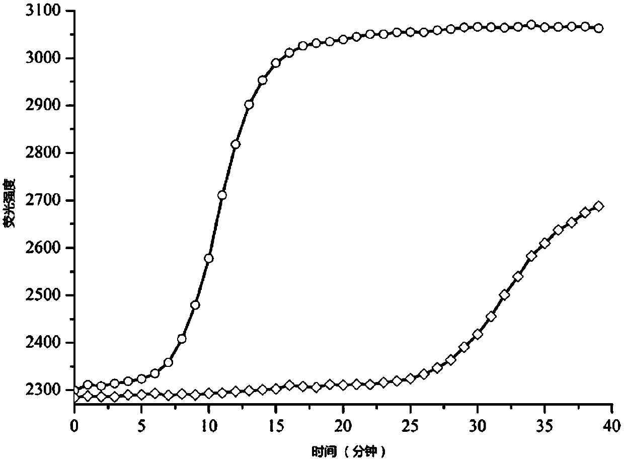 DNA polymerase, nucleic acid test method and nucleic acid test kit