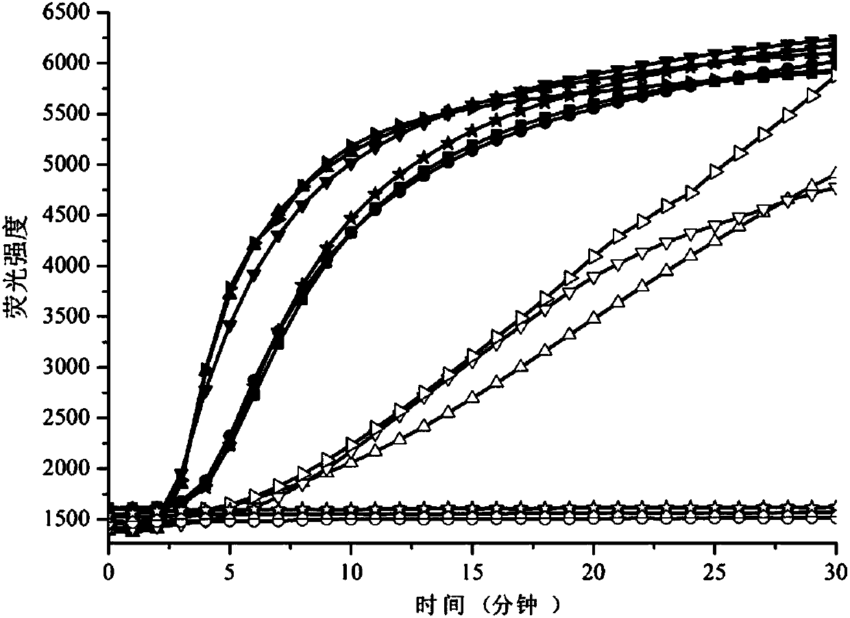 DNA polymerase, nucleic acid test method and nucleic acid test kit