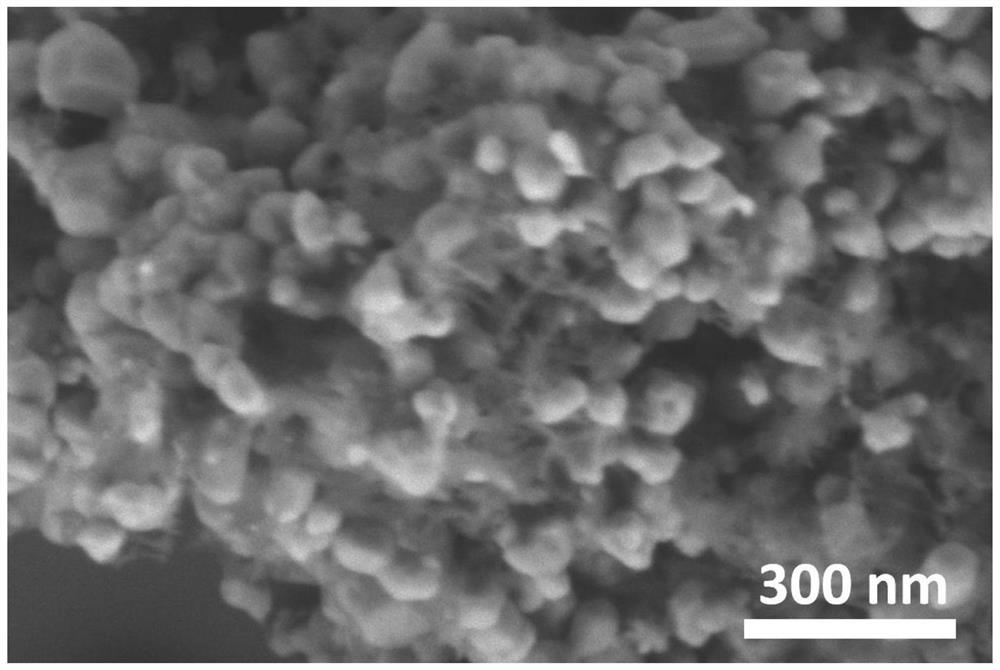 Novel compounding method of carbon material and transition metal compound, composite material and application