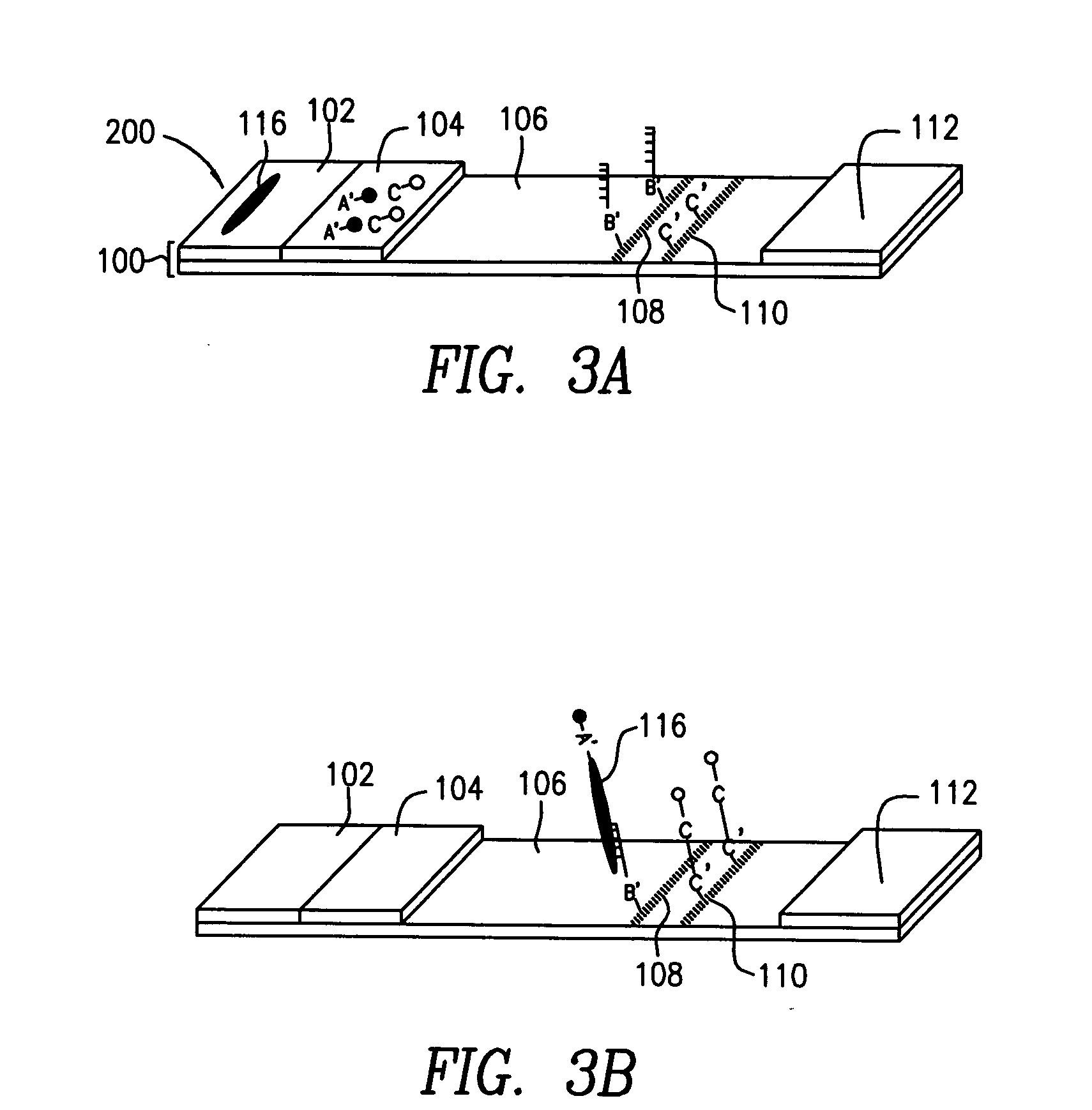 Lateral flow methods and devices for detection of nucleic acid binding proteins