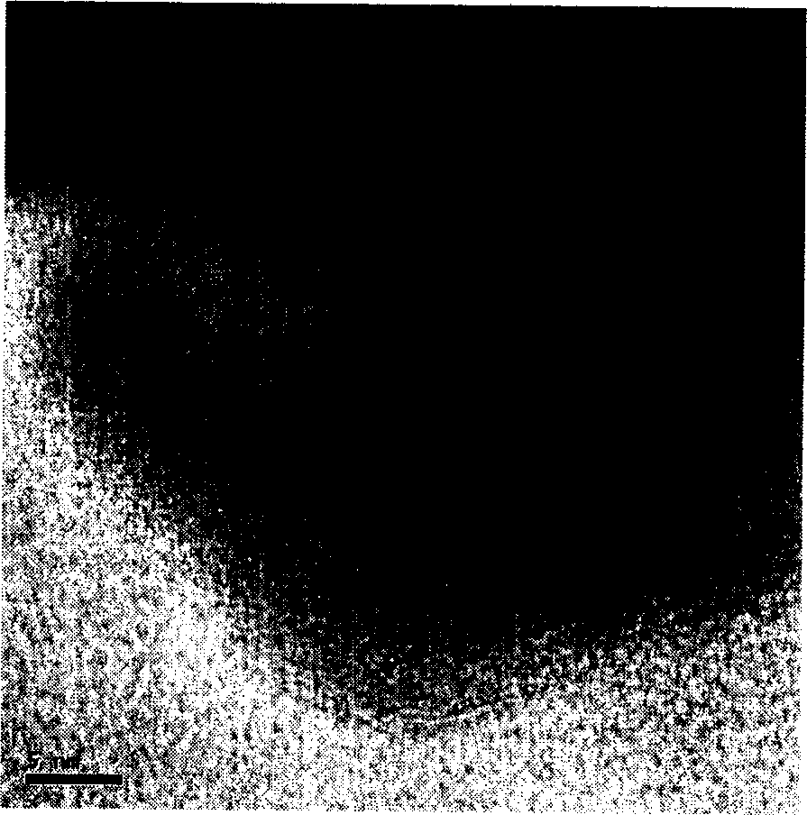 Anode material of lithium ion cell and its prepn method