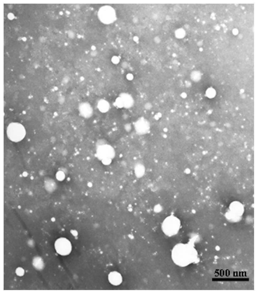 Microneedle drug release device and manufacturing method, skin disease treatment device