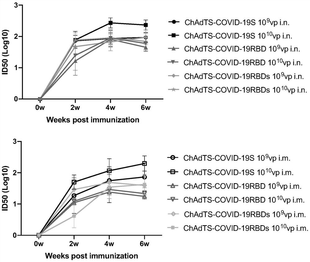 Three recombinant adenoviruses, RBD of SARS-CoV-2 Spike protein and application of three recombinant adenoviruses and RBD of SARS-CoV-2 Spike protein