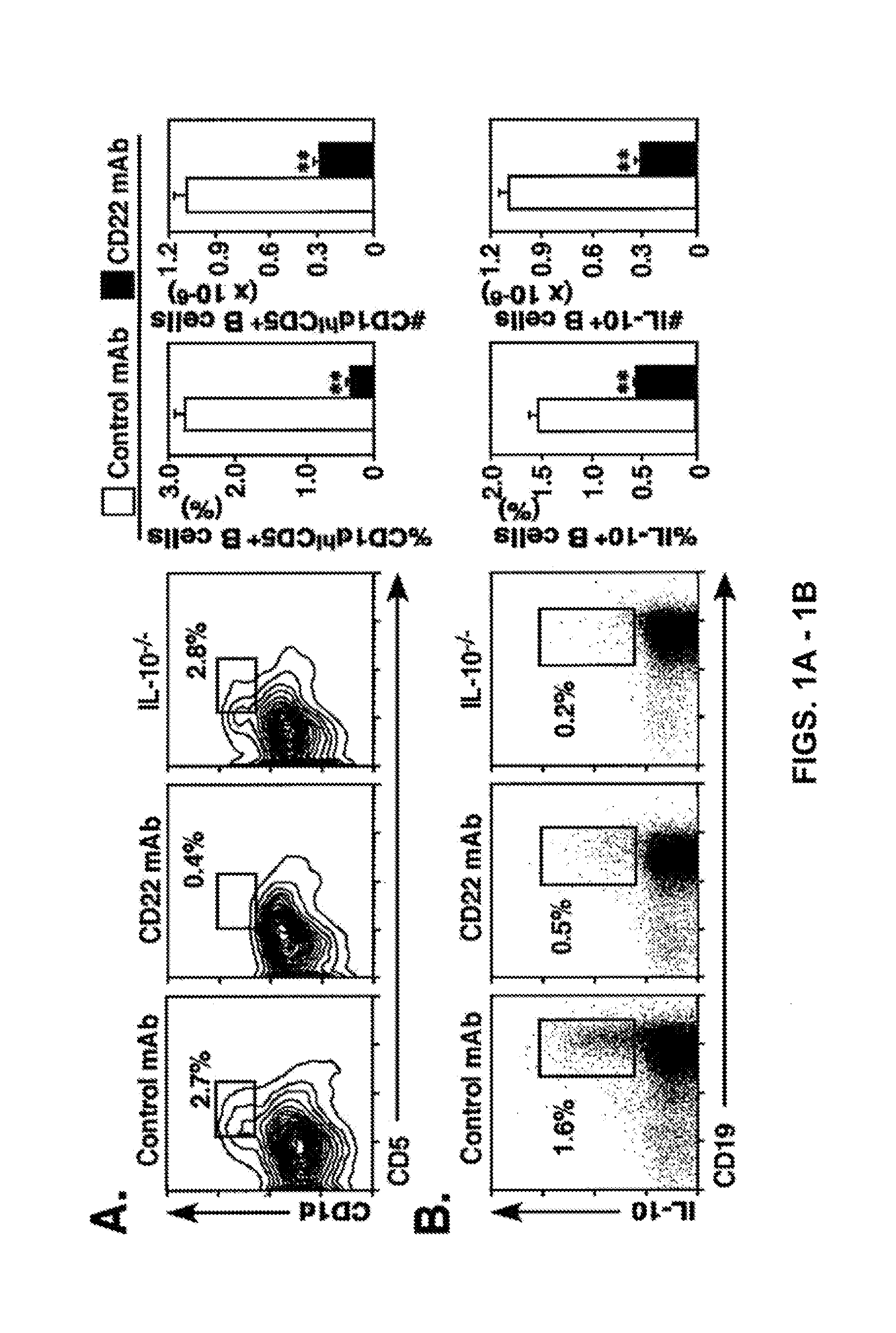 Regulatory b cells and their uses