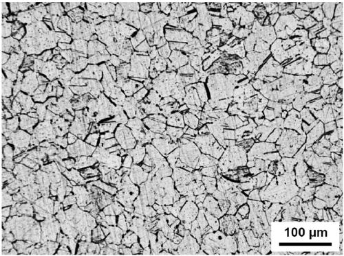 Austenite low-temperature steel and preparation method thereof